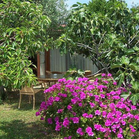 Hotel Club Ragno D'Oro Olbia Tempio Εξωτερικό φωτογραφία