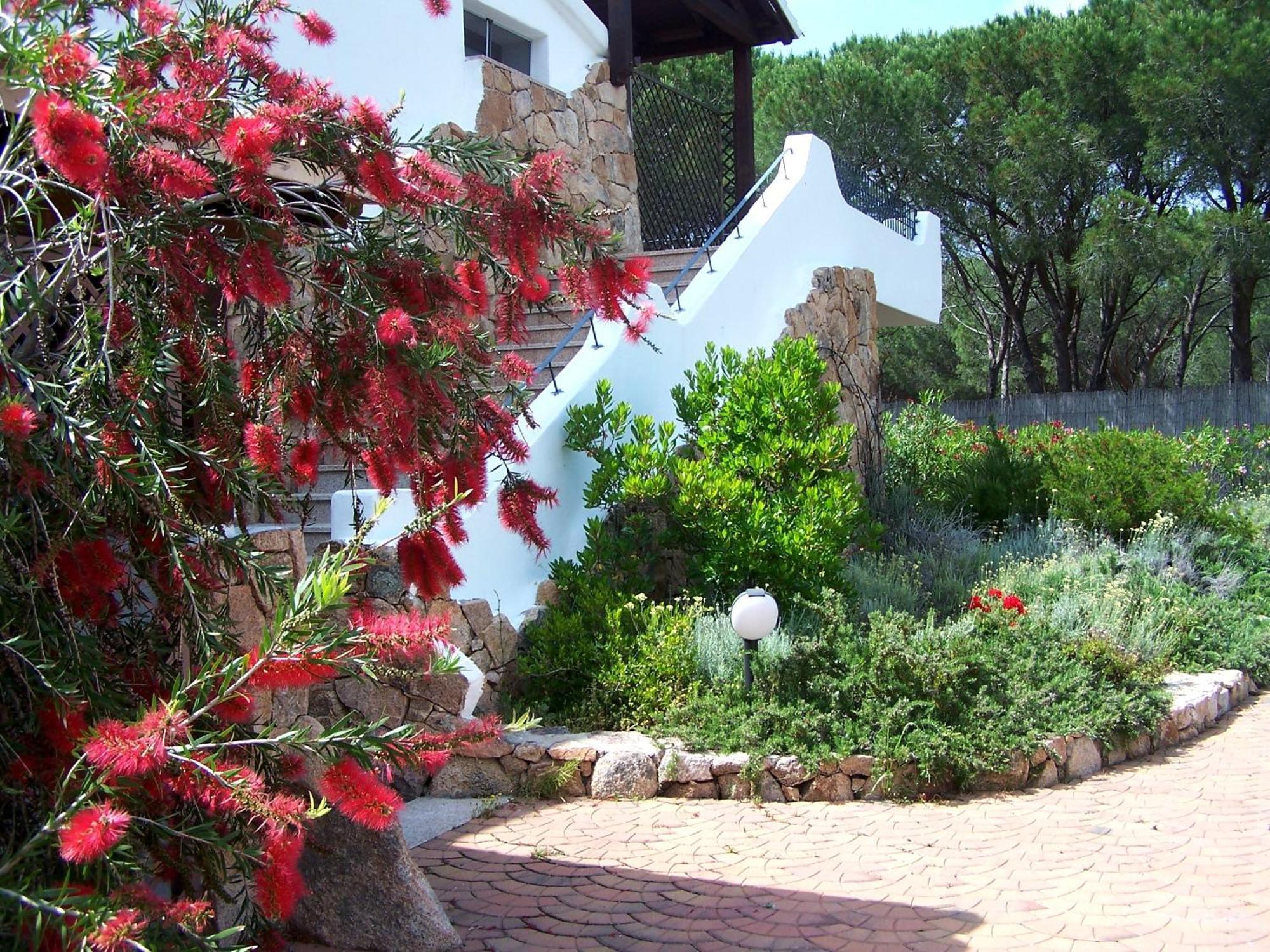 Hotel Club Ragno D'Oro Olbia Tempio Εξωτερικό φωτογραφία
