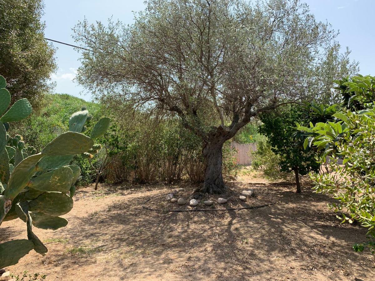Hotel Club Ragno D'Oro Olbia Tempio Εξωτερικό φωτογραφία