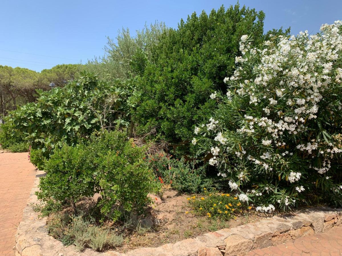 Hotel Club Ragno D'Oro Olbia Tempio Εξωτερικό φωτογραφία